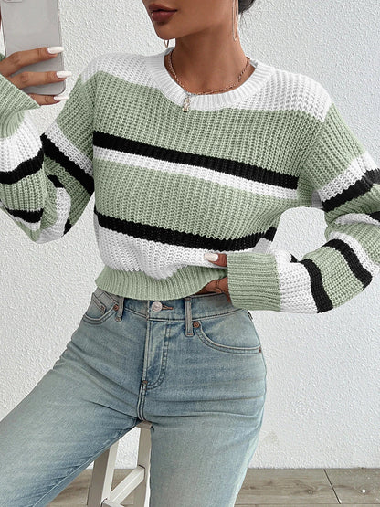 City Chic Knit